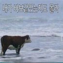 주영푸드 - 강서구 | 스물세번째