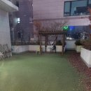 카페몽몽 | 김포 애견카페 카페몽몽 🐶 | 상주견 많은 애견카페 재방문 후기!