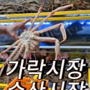 가락시장 수산시장 맛집 서비스 짱! 대게 싯가 제철 민어회 후기