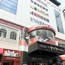 고양이카페 루프캣미 명동점 | 서울가볼만한곳 추천 ‘루프캣미 고양이카페 명동점’ 다녀온 후기