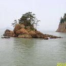 작은장구섬 Daum백과