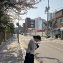 낙원당 낙곱새전문점 경희대점 이미지