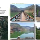 한라종합시장 이미지