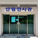 안면도 자연휴양림 피톤치드에 흠뻑