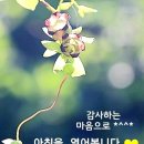 전통생활매듭 이미지