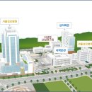 카톨릭대학교 티스토리