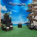 수원-0528 | 너를 알게되어 기뻐 (연말결산-1)