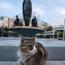 노벨세탁소 이미지