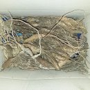 자연산약초 - 단양군 사인암로 762 | 자연산약초