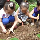 보아유치원 이미지