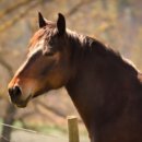 한국폴리텍V대학목포캠퍼스 이미지