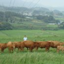 안병선농장 이미지