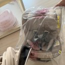 조이미디어 | [내돈내산] “조이 시그니처 아이스핀 360 유아 신생아 카시트” 3개월 사용 솔직후기