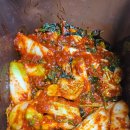 다원포레스트독채펜션 이미지