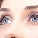 비타민모터스 이미지