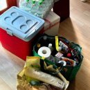 숲속의 행복마을 | 밀양 통나무 숲속 마을 펜션