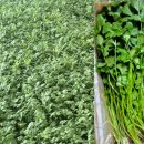 일호농장 이미지