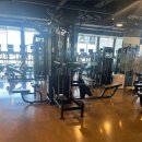 휘트니스요가 이미지