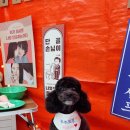 라라그루밍 이미지