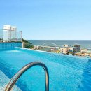 스카리아 이미지