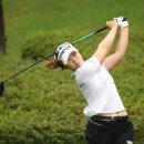 정선군 도전 이미지