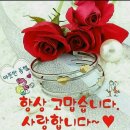 생명샘교회 앞 이미지