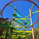 솔향공원 소나무전시관 이미지