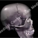 턱관절 장애 (Temporomandibular Disorders) 이미지