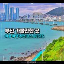 아카이빙) 뚜벅뚜벅 마을탐방(A코스) | 부산 가볼만한곳 추천 여행지 BEST6