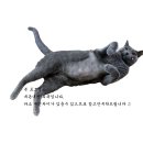 진심한잔커피컴퍼니 이미지