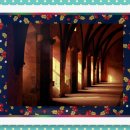 바른아이안경, 콘택트 이미지