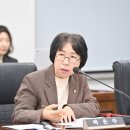 253 이미지