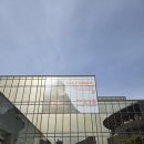 [앤서니 브라운展: 마스터 오브 스토리텔링] 전시회 관람 후기