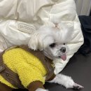 아모 | 본오동 네일 잘하는 떼아모네일에서 이달의아트 받은 후기