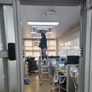 신의초등학교 네이버블로그