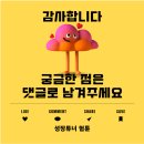 올앳올 이미지