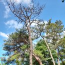 금정농장 이미지