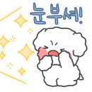 오늘도점핑&체온