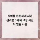 SR프라자 | 치아를 튼튼하게! 치아 관리법 3가지 교정, 시린 이, 얼음 사랑?