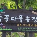 들꽃농장 이미지