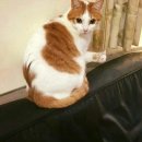 쉽게 배우는 중국어(기초) | 중국어 기초이지만 잘하고 싶었다 feat.린린에듀 실제수강후기