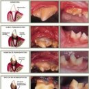 푸른숲동물병원 이미지
