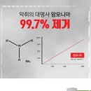 포름포레