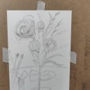 연필 한자루로 담아내는 세상, 소묘 | 전주 소묘 원 데이 클래스 그림 그리기^^ 전주 아이들부터 성인까지 창의력 키우는 법^^
