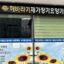 명보온누리약국 네이버블로그