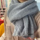 베를린스카프 (대체실 : 파인아트얀 페루수리베알)
