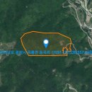 옥룡면사무소 이미지