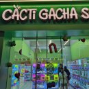 짱인형 SHOP 네이버블로그