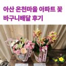 모종동주공아파트경로당 | 11월 29일 토요일 오전 배송 후기: 아산 꽃배달 2건! 모종동 꽃바구니 &amp; 탕정면 개업 호접난 화분!