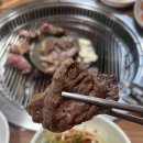 충남실비